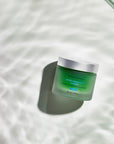 Phyto Corrective Masque